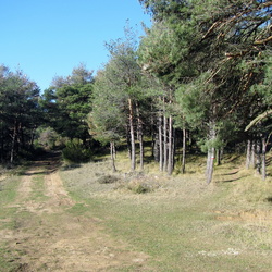 16-12-18 Ardanatz-Labiano